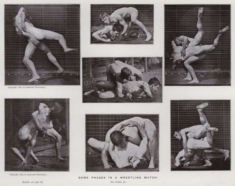 Die menschliche Figur in Bewegung: Einige Phasen in einem Wrestling-Match von Eadweard Muybridge