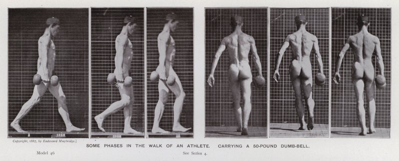 Die menschliche Figur in Bewegung: Einige Phasen im Gang eines Athleten, der eine 50-Pfund-Hantel trägt von Eadweard Muybridge