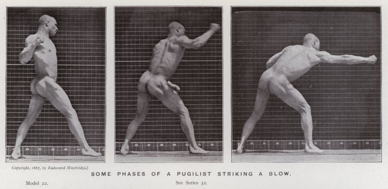Die menschliche Figur in Bewegung: Einige Phasen eines Faustkämpfers, der einen Schlag ausführt von Eadweard Muybridge