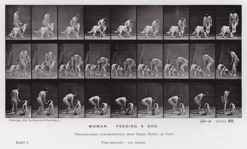 Die menschliche Figur in Bewegung: Frau, füttert einen Hund von Eadweard Muybridge