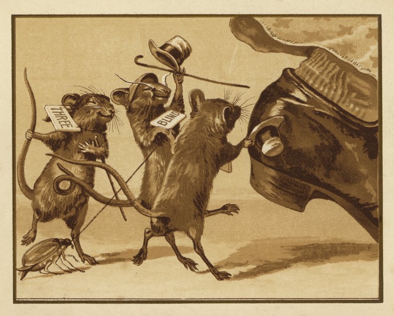 Illustration für Drei blinde Mäuse von Edmund G. Caldwell