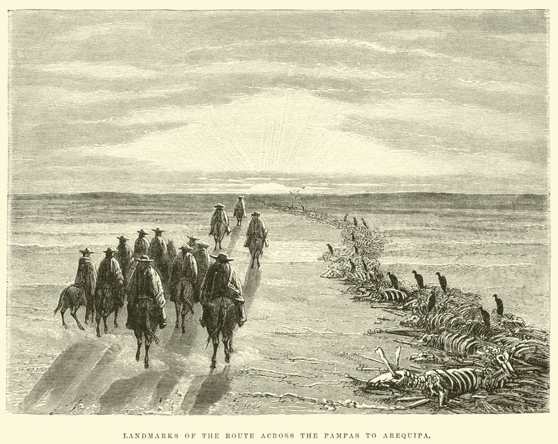 Wahrzeichen der Route über die Pampas nach Arequipa von Edouard Riou