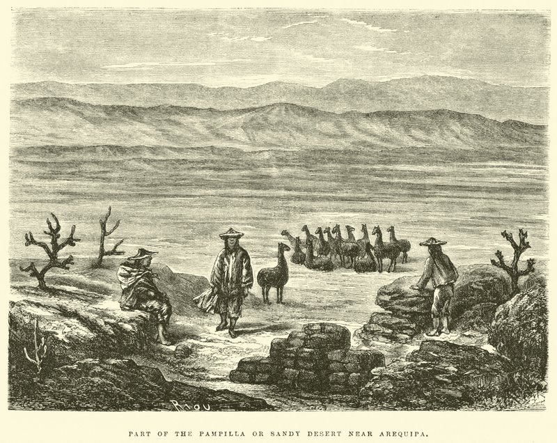 Teil der Pampilla oder Sandwüste bei Arequipa von Edouard Riou