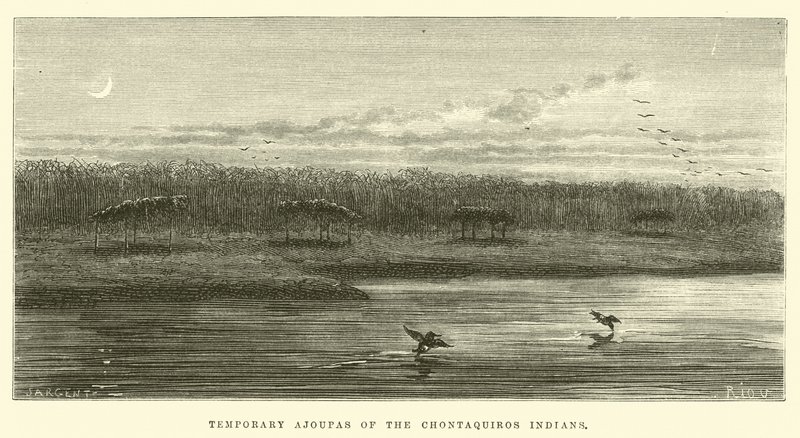 Temporäre Ajoupas der Chontaquiros-Indianer von Edouard Riou