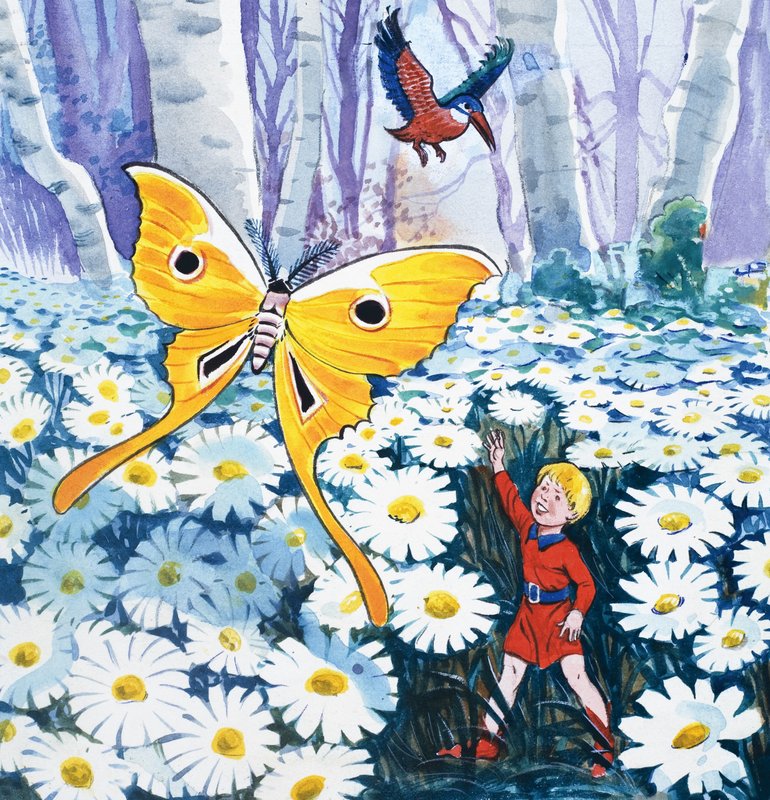 Die Geschichte von Däumelinchen von Eduardo Teixeira Coelho