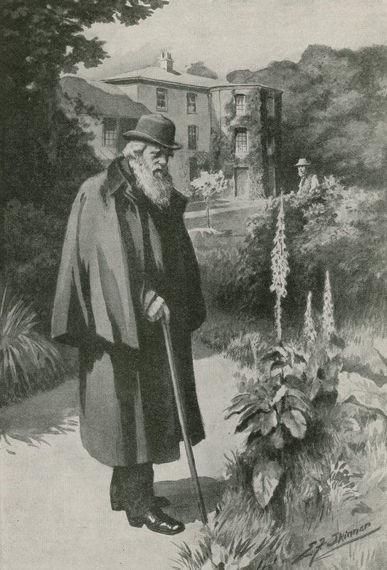 Charles Darwin in seinem Garten im Down House (Lithografie) von Edward Frederick Skinner