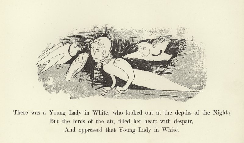 Es war eine junge Dame in Weiß, die in die Tiefen der Nacht schaute von Edward Lear