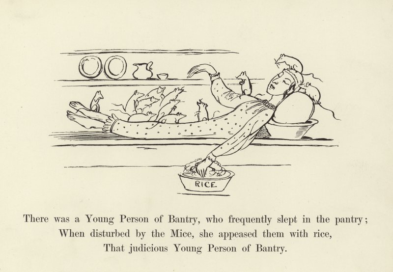 Es war eine junge Person aus Bantry, die häufig in der Speisekammer schlief von Edward Lear