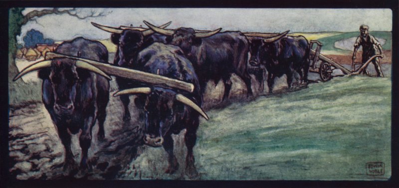 Ochsen pflügen auf den Sussex Downs (Farblithografie) von Edwin Noble