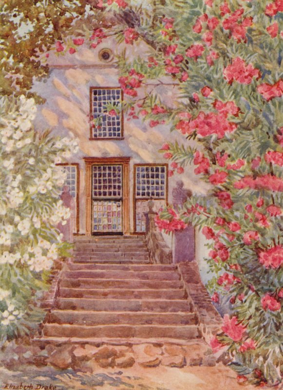 Rosa und weiße Oleander, Alphen, Wynberg von Elizabeth Drake