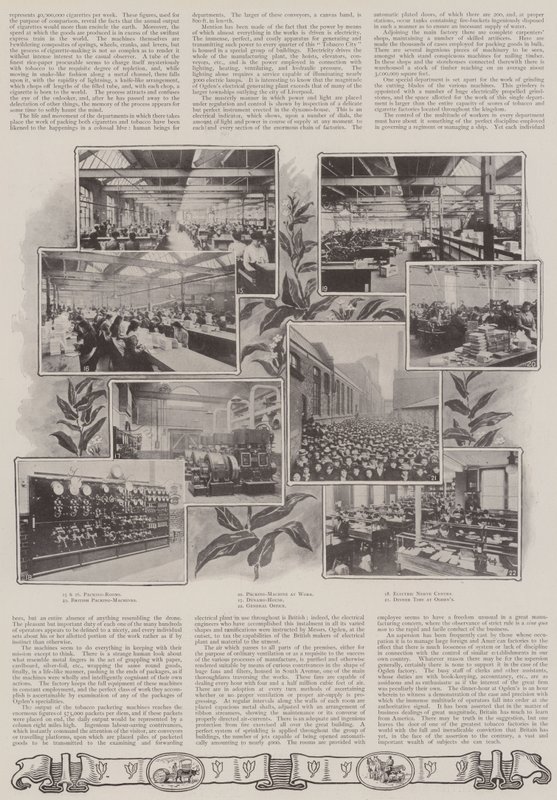 Eine britische Lektion von English Photographer