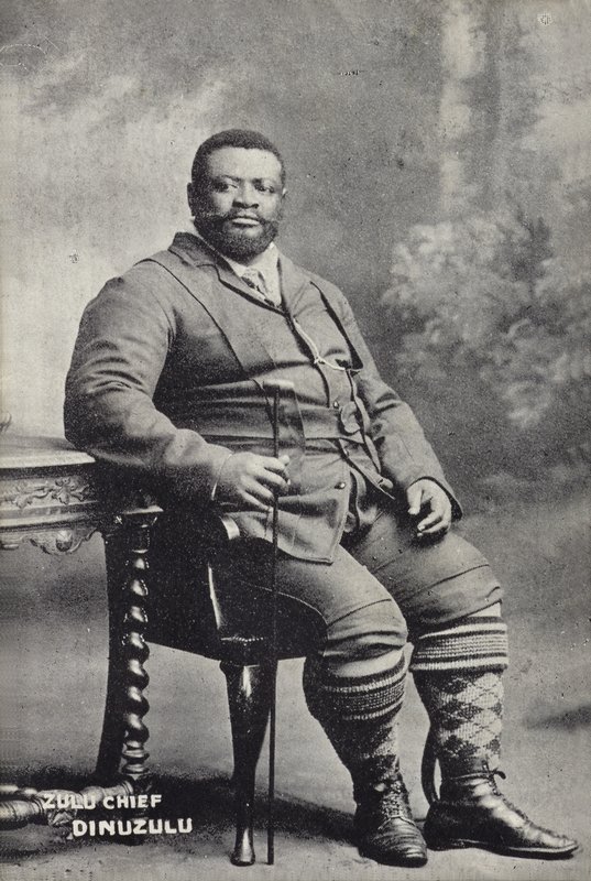 Cetshwayo kaMpande, König der Zulu-Nation von English Photographer