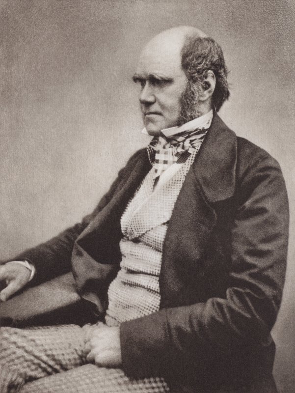 Charles Darwin, Porträt, ca. 1854, nach einem Foto von Maull & Fox von English Photographer