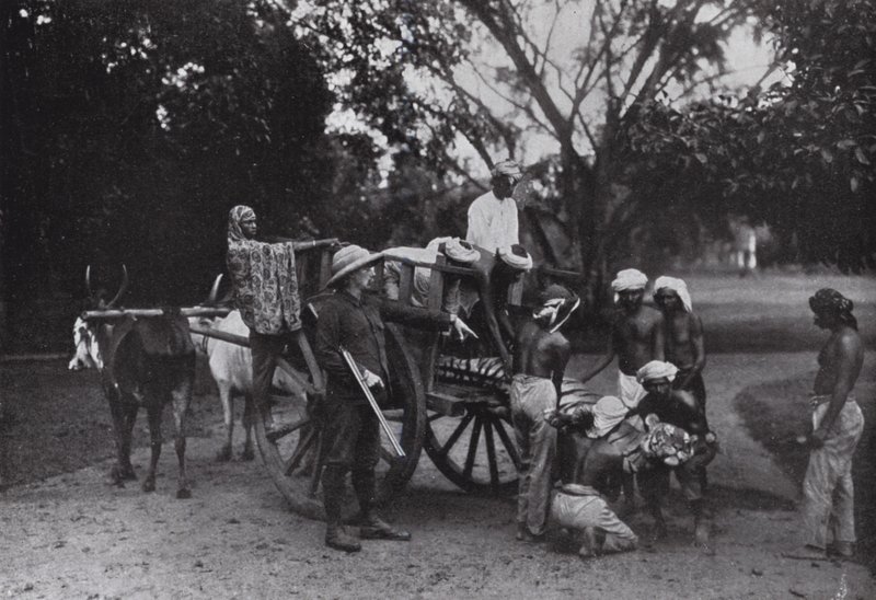 Herr G P Owen und ein Singapur-Tiger von English Photographer