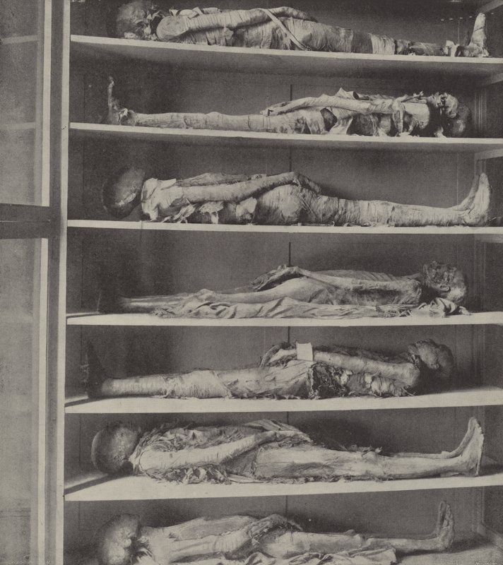 Mumien von Priestern, die Körper von Priestern, die vor Aaron und seinen Söhnen einbalsamiert wurden von English Photographer