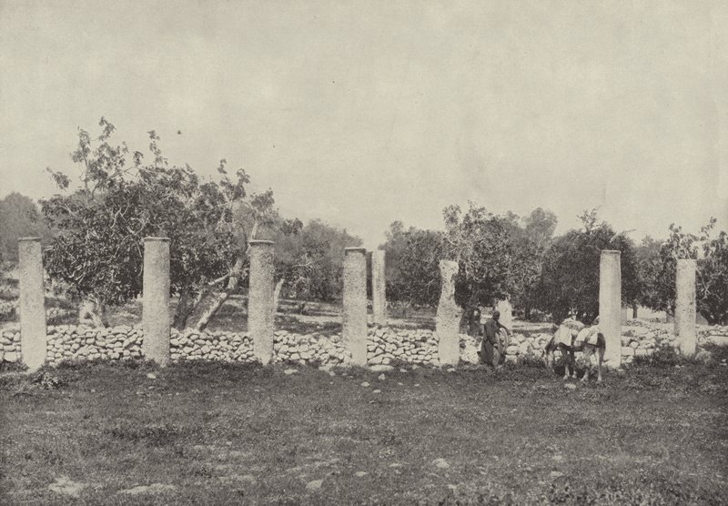 Palast von Herodes, Samaria, die Überreste des Palastes, den Herodes zu Ehren von Augustus baute von English Photographer