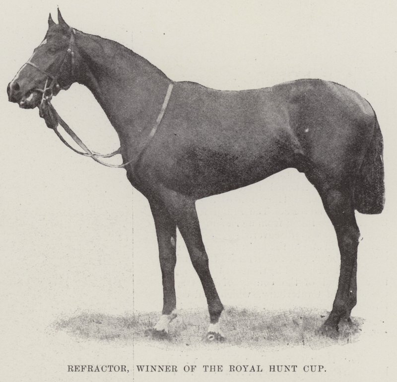 Refractor, Gewinner des Royal Hunt Cups von English Photographer