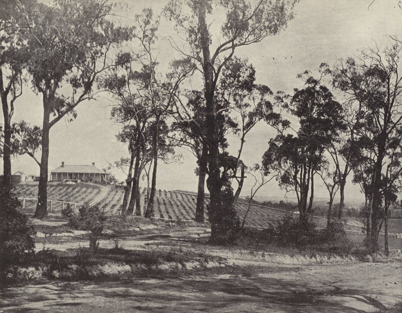 Szene auf der Gembrook Road, Victoria von English Photographer