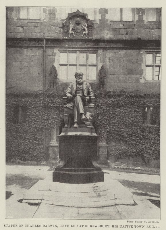 Statue von Charles Darwin, enthüllt in Shrewsbury, seiner Heimatstadt, am 10. August von English Photographer