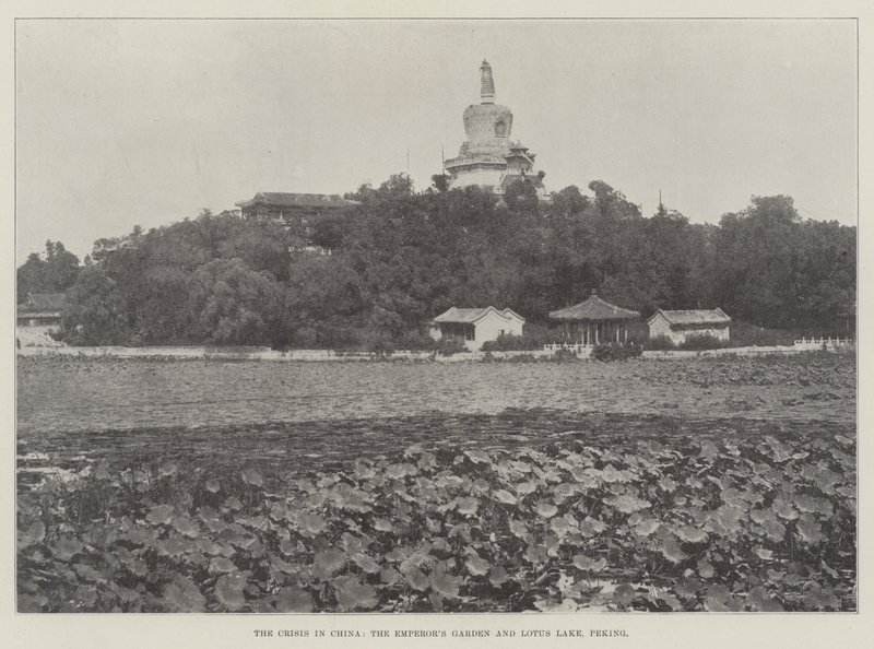 Die Krise in China, der Garten des Kaisers und der Lotussee in Peking von English Photographer