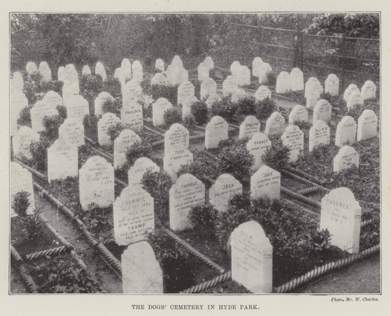 Der Hundefriedhof im Hyde Park von English Photographer