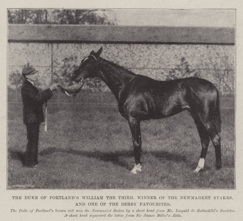 Der Herzog von Portlands William der Dritte, Gewinner der Newmarket Stakes und einer der Favoriten für das Derby von English Photographer
