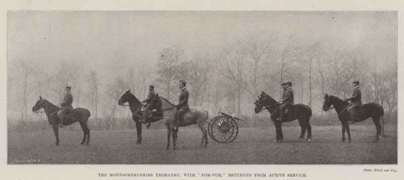 Die Montgomeryshire Yeomanry, mit Pom-Pom, von aktivem Dienst zurückgekehrt von English Photographer