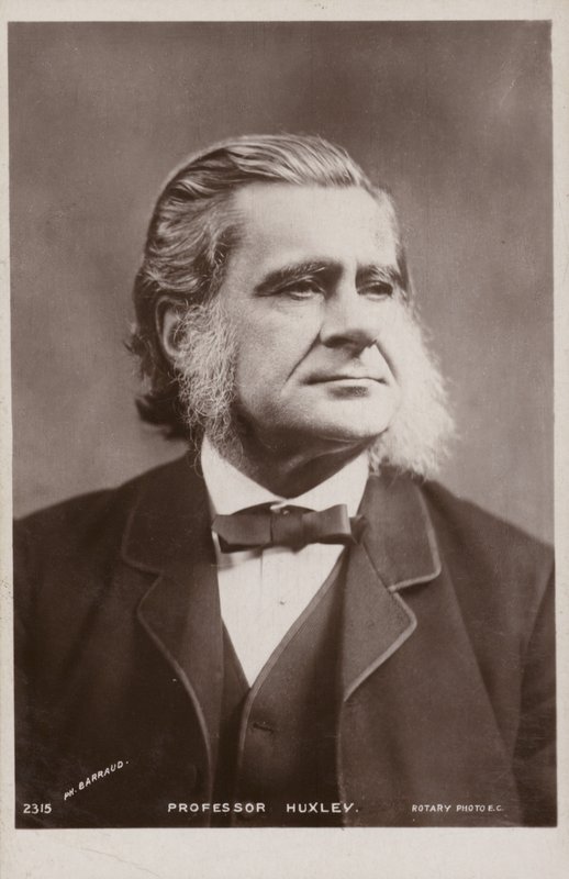Thomas Henry Huxley (1825-1895), englischer Biologe von English Photographer