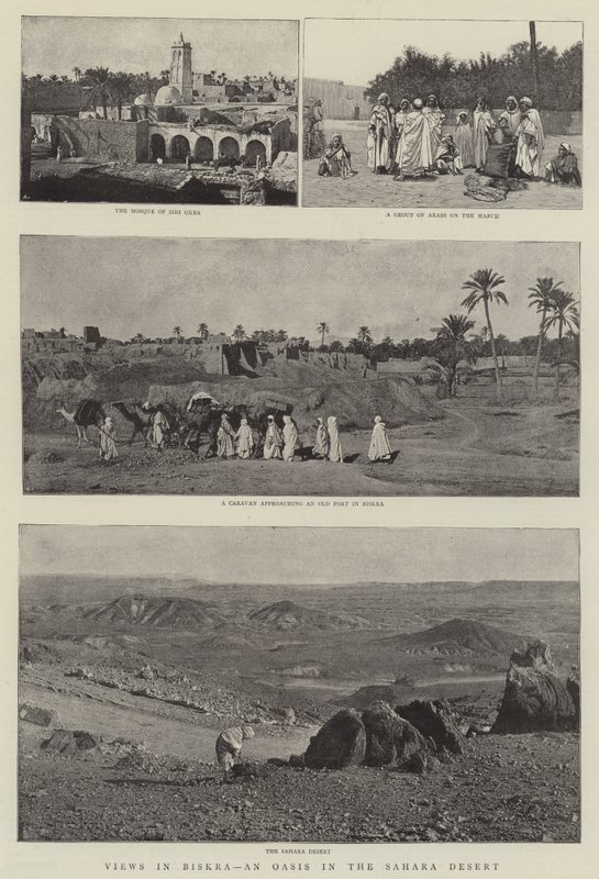 Ansichten in Biskra, eine Oase in der Sahara von English Photographer
