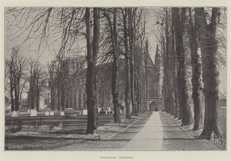 Kathedrale von Winchester von English Photographer