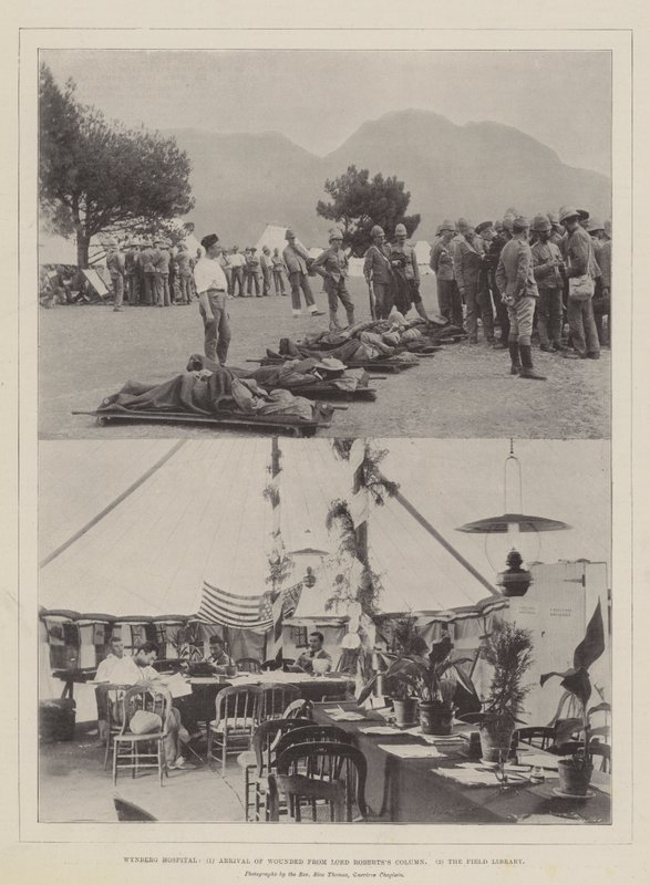 Wynberg Hospital, Ankunft der Verwundeten von Lord Roberts Kolonne, die Feldbibliothek von English Photographer