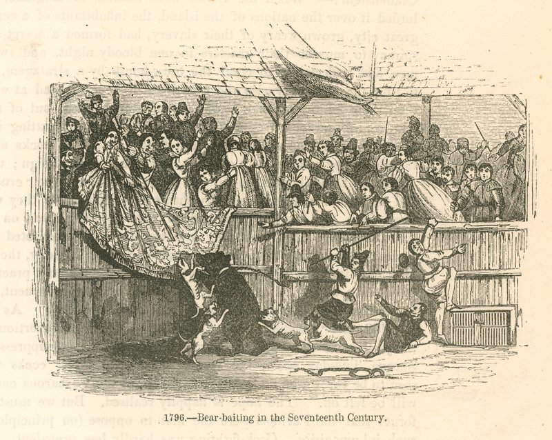 Rekonstruktion des 19. Jahrhunderts eines Bären, der Panik verursacht von English School