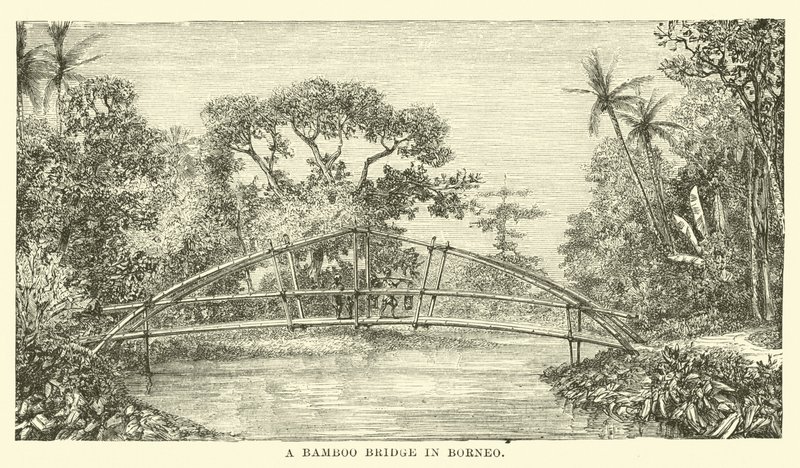 Eine Bambusbrücke in Borneo von English School
