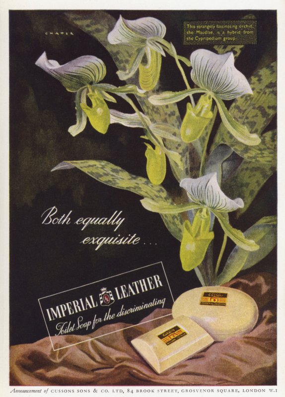 Werbung für Cussons Imperial Leather Seife von English School