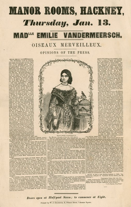 Werbung für den Auftritt von Mademoiselle Emilie Vandermeersch, Oiseaux Merveilleaux in den Manor Rooms, Hackney, London von English School