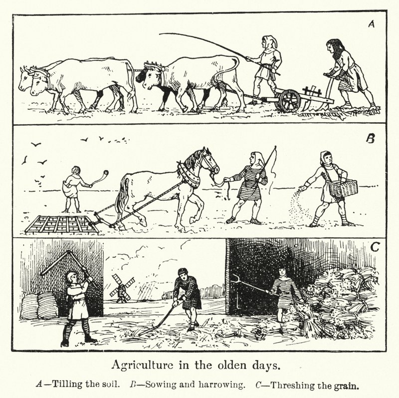 Landwirtschaft in alten Zeiten von English School