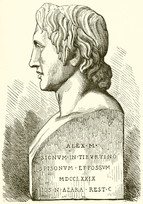 Antike Büste von Alexander dem Großen von English School