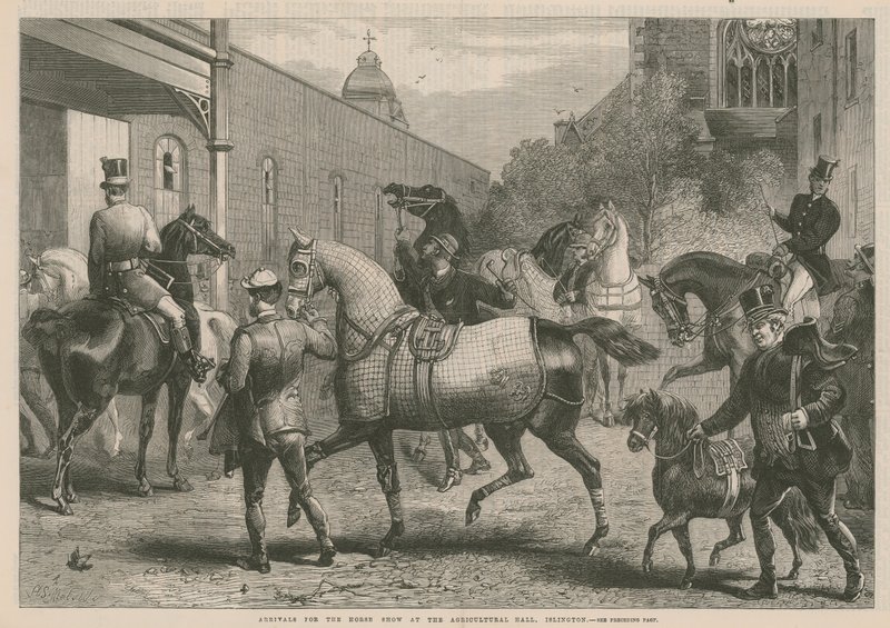 Ankünfte zur Pferdeschau in der Landwirtschaftshalle von English School