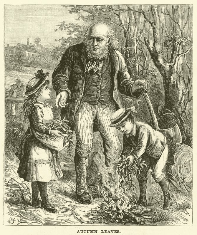 Herbstblätter (Gravur) von English School