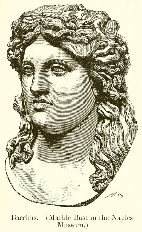 Bacchus. (Marmorbüste im Museum von Neapel) (Gravur) von English School
