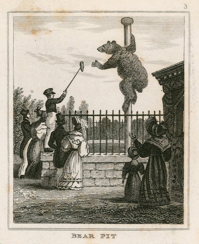 Bärenzwinger, Londoner Zoologische Gärten, Regents Park von English School