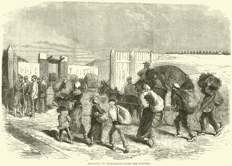 Gemüse aus den Vororten hereinbringen, Oktober 1870 von English School