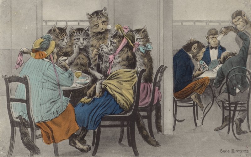 Katzen trinken Tee und Affen spielen Karten von English School