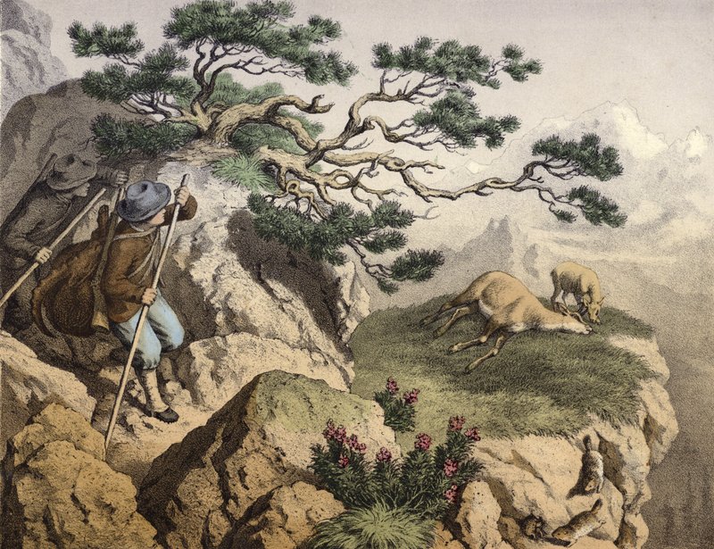 Gamsjäger der Alpen, einer trägt einen Steinbock, eine tote Gämse, daneben ein Rehkitz, im Vordergrund einige Murmeltiere von English School