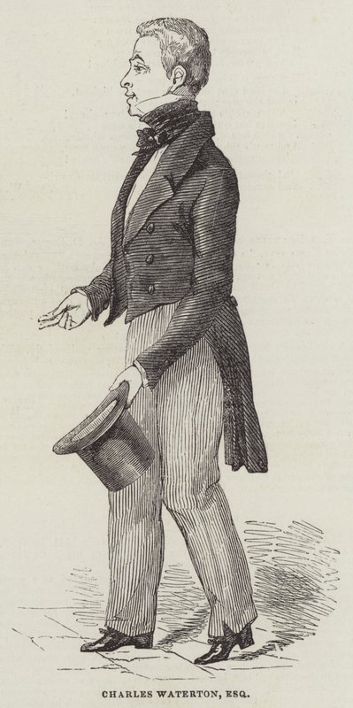 Charles Waterton, Esquire (Stich) von English School