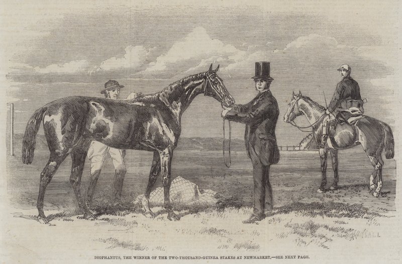 Diophantus, der Gewinner der Zweitausend-Guinea-Wette in Newmarket (Gravur) von English School