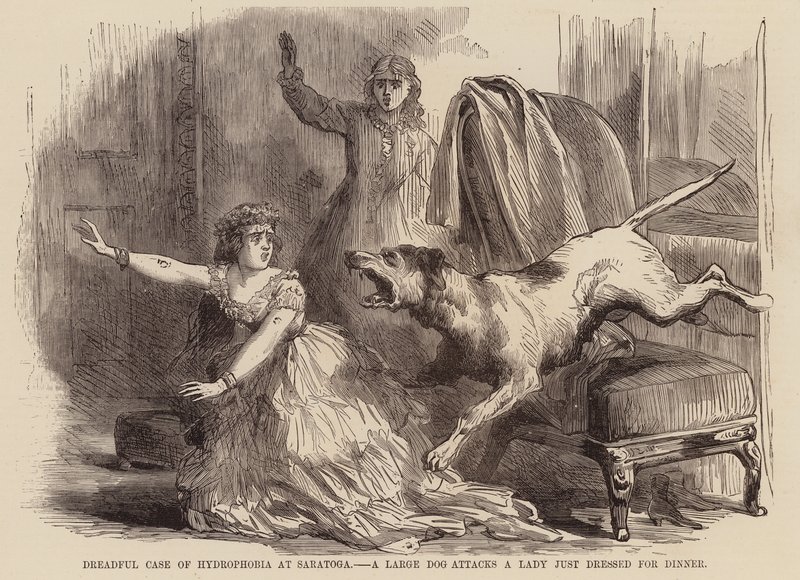 Schrecklicher Fall von Hydrophobie in Saratoga, ein großer Hund greift eine Dame an, die gerade zum Abendessen angezogen ist von English School