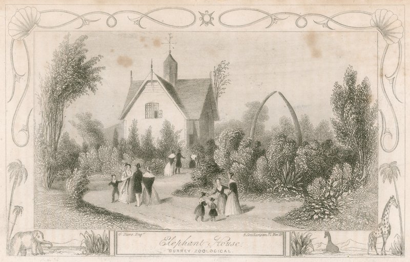 Elefantenhaus im Surrey Zoological Gardens, London von English School