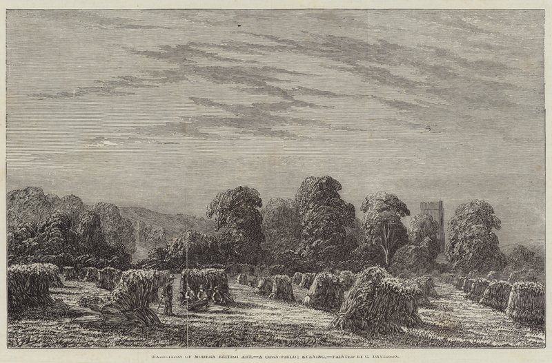 Ausstellung moderner britischer Kunst, ein Kornfeld, Abend von English School