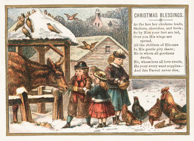 Tiere im Schnee füttern, Weihnachtskarte von English School